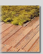 roof cleaning